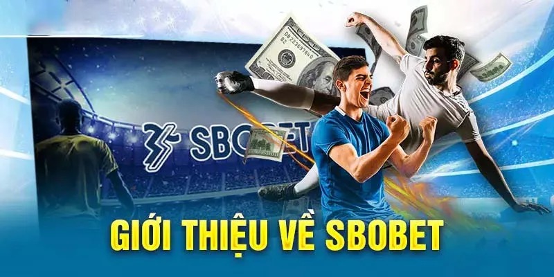 Sbobet zbet - Thương Hiệu Cá Độ Thể Thao 2024 